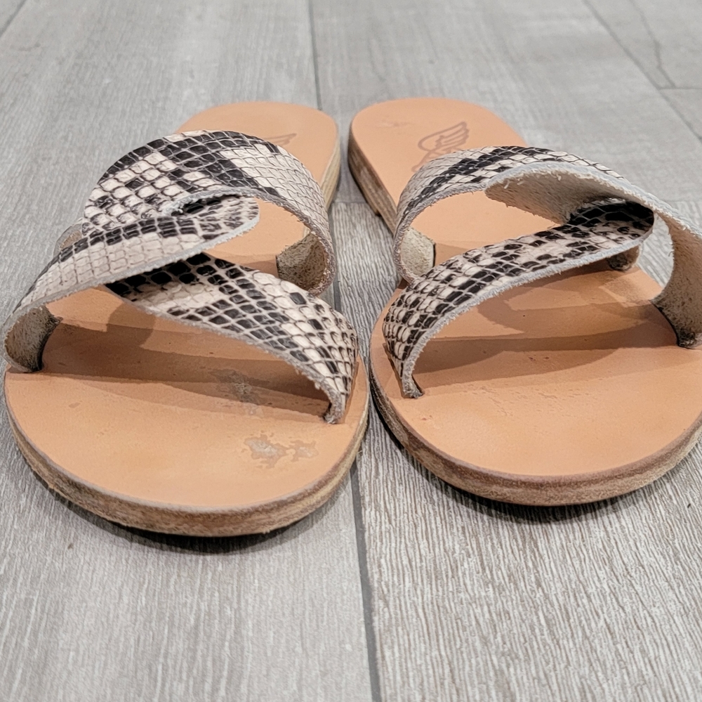 Ancient Greek Sandals Desmos snake effect slides 36 - Picture 2 of 5
